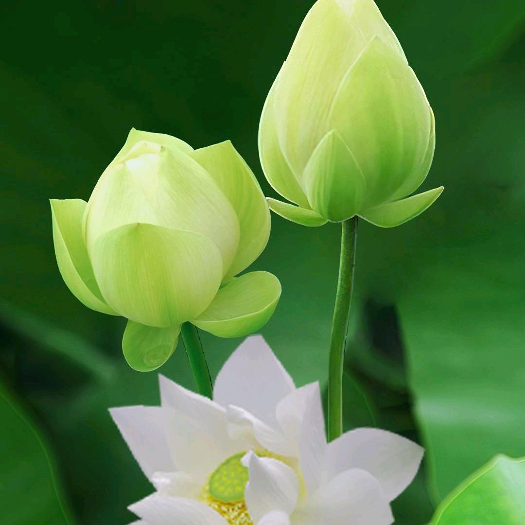 有你便是晴天