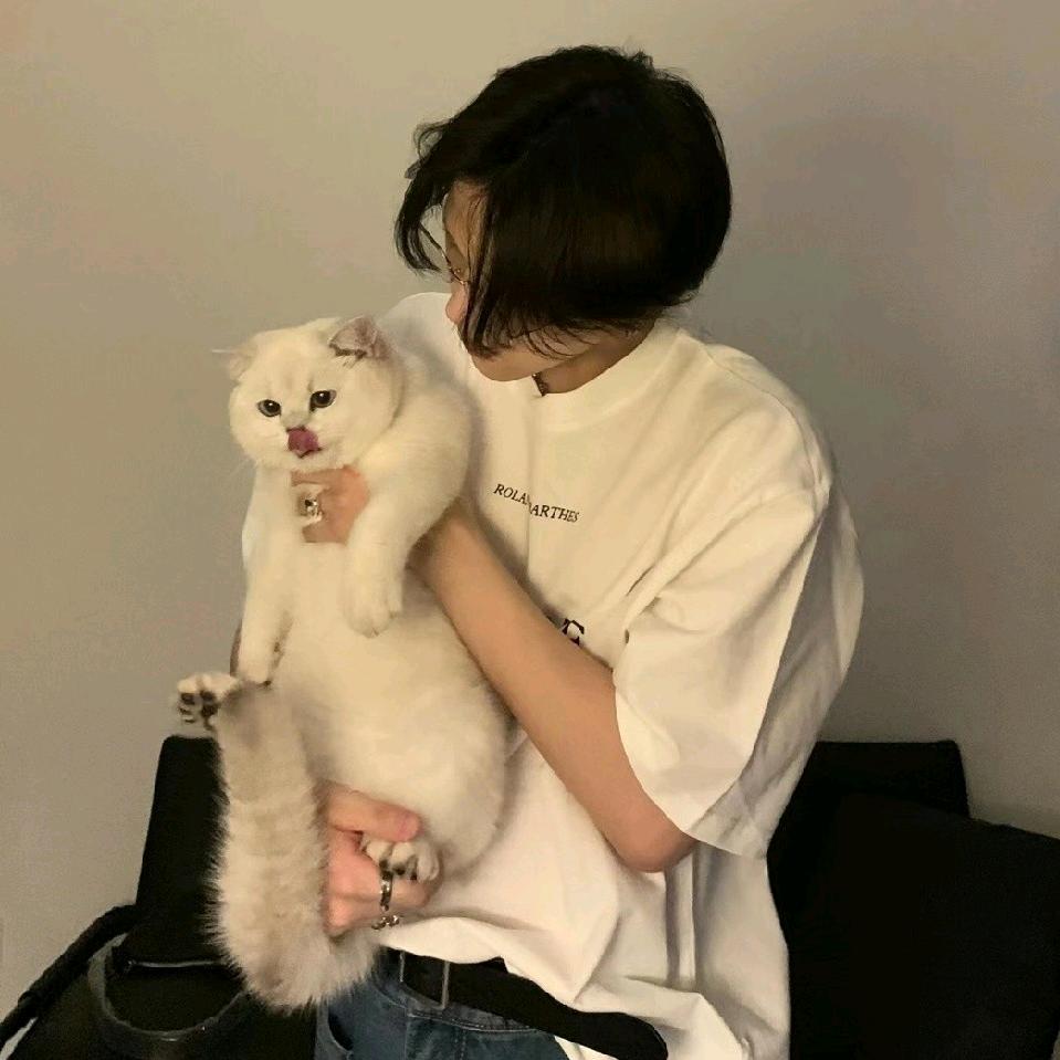 叮当猫不白给