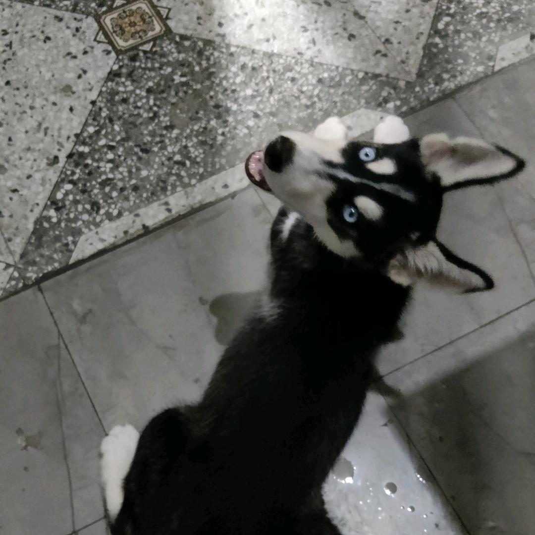 刘达