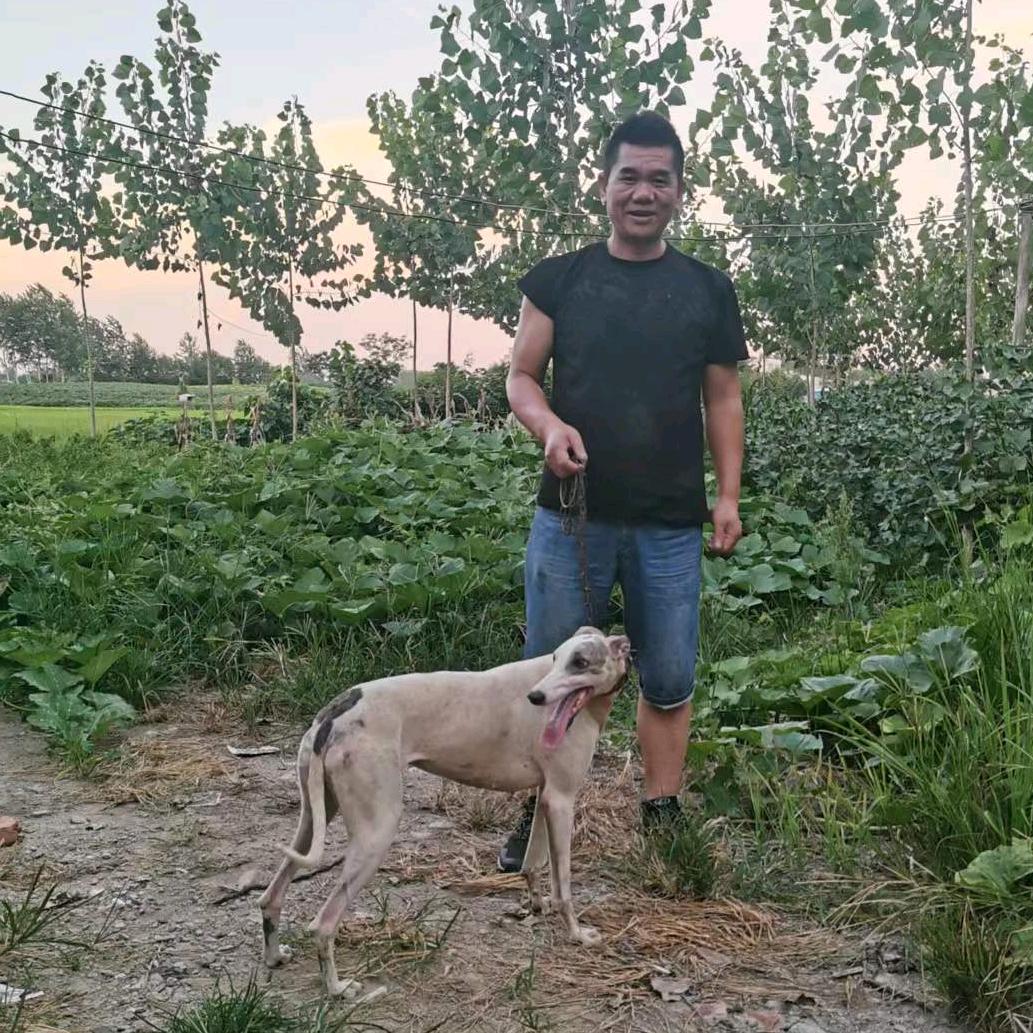 曾氏有味