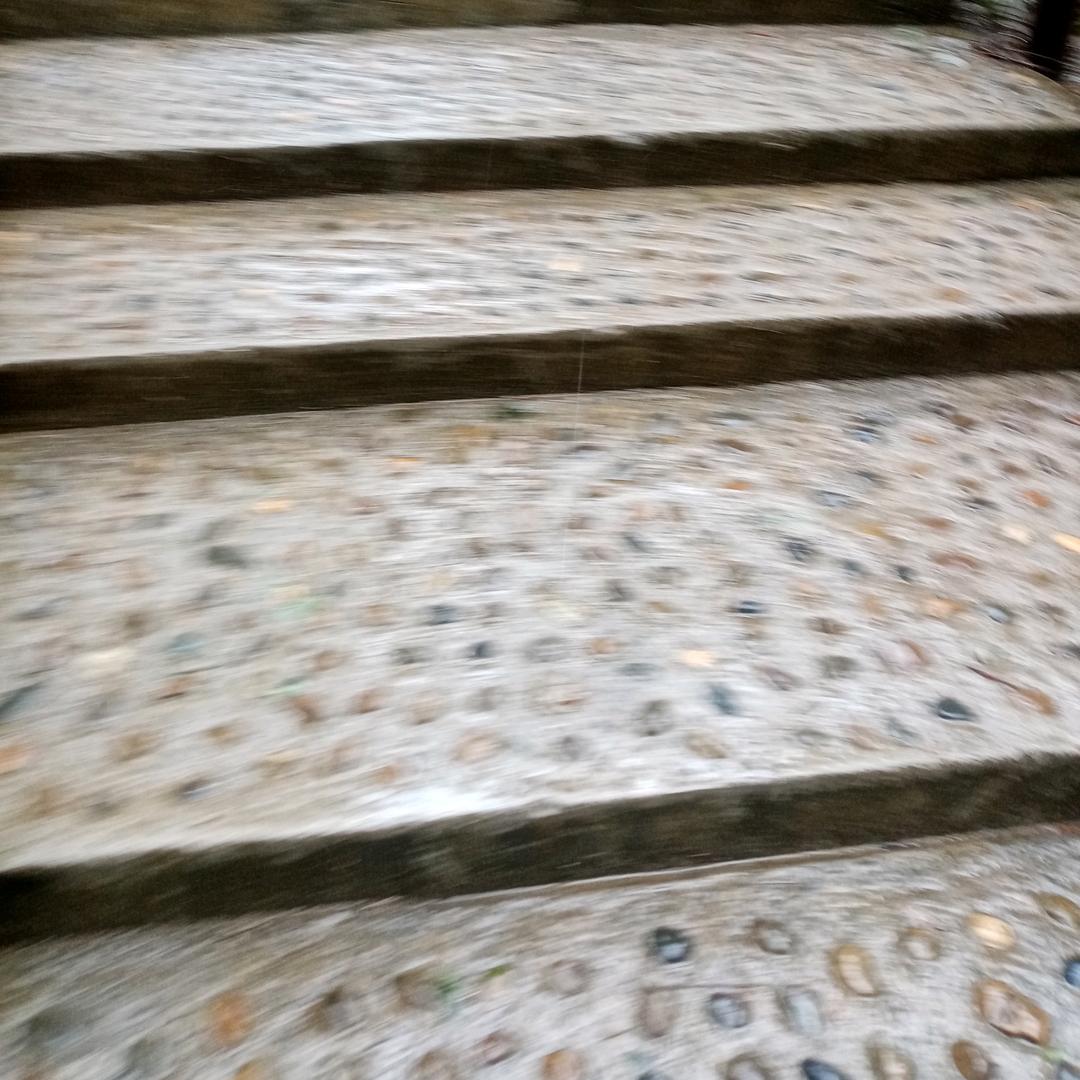 陈总
