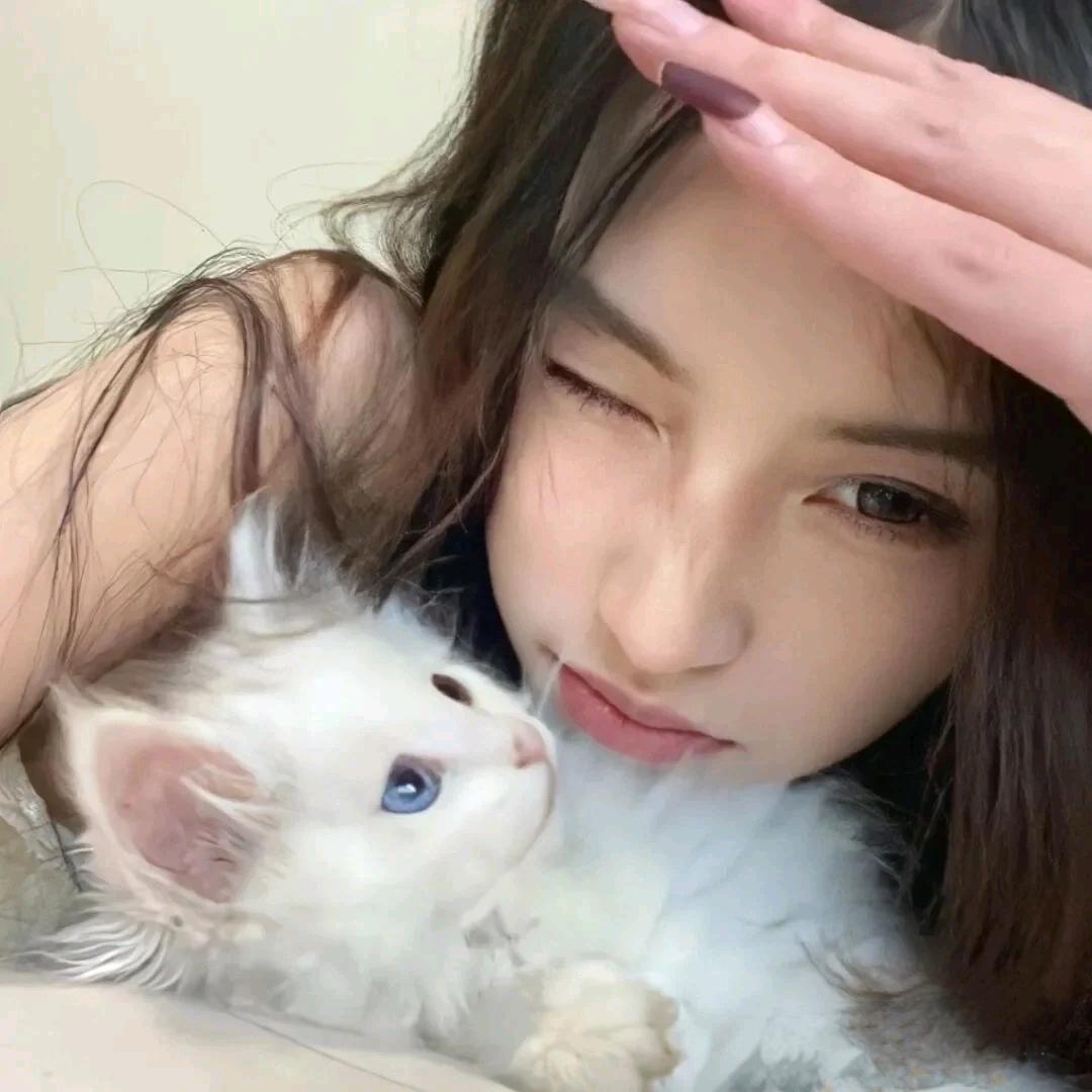 别吵我睡觉-