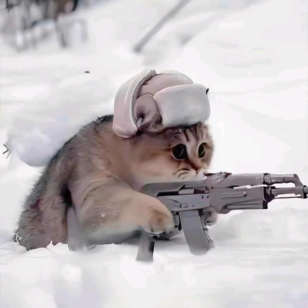 爱喝天子笑的猫