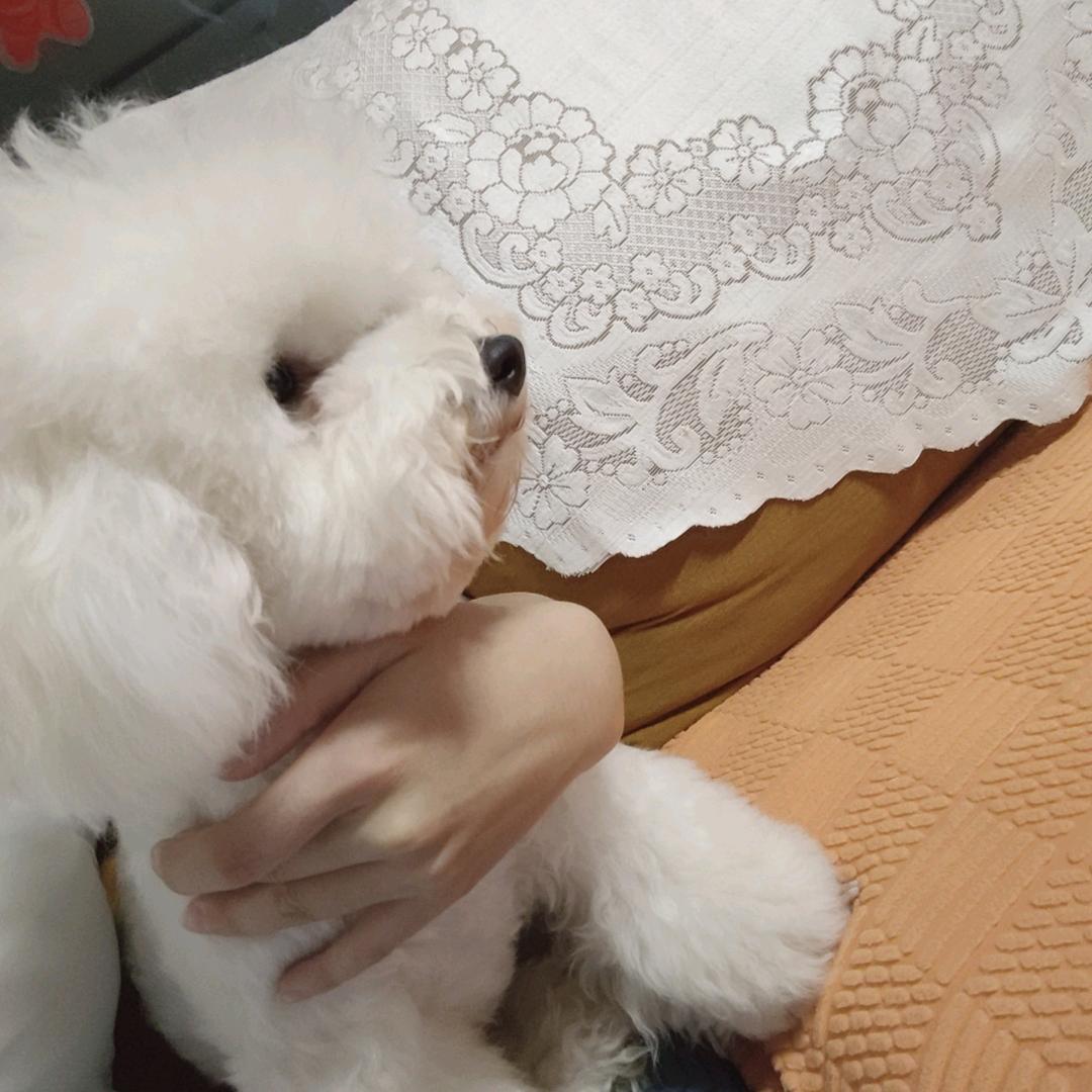 🌈不喜甜言🌈