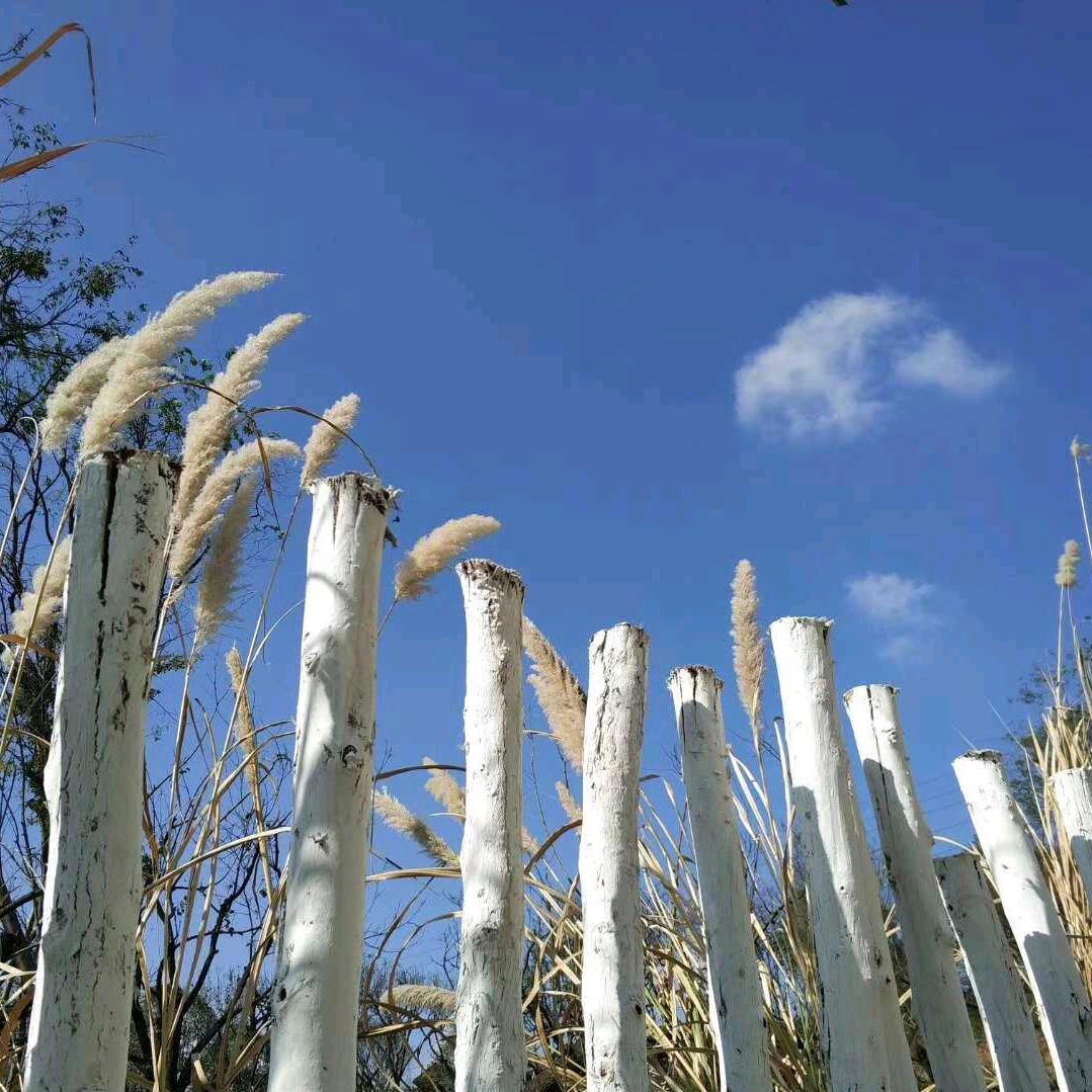 优秀货代销售张同学