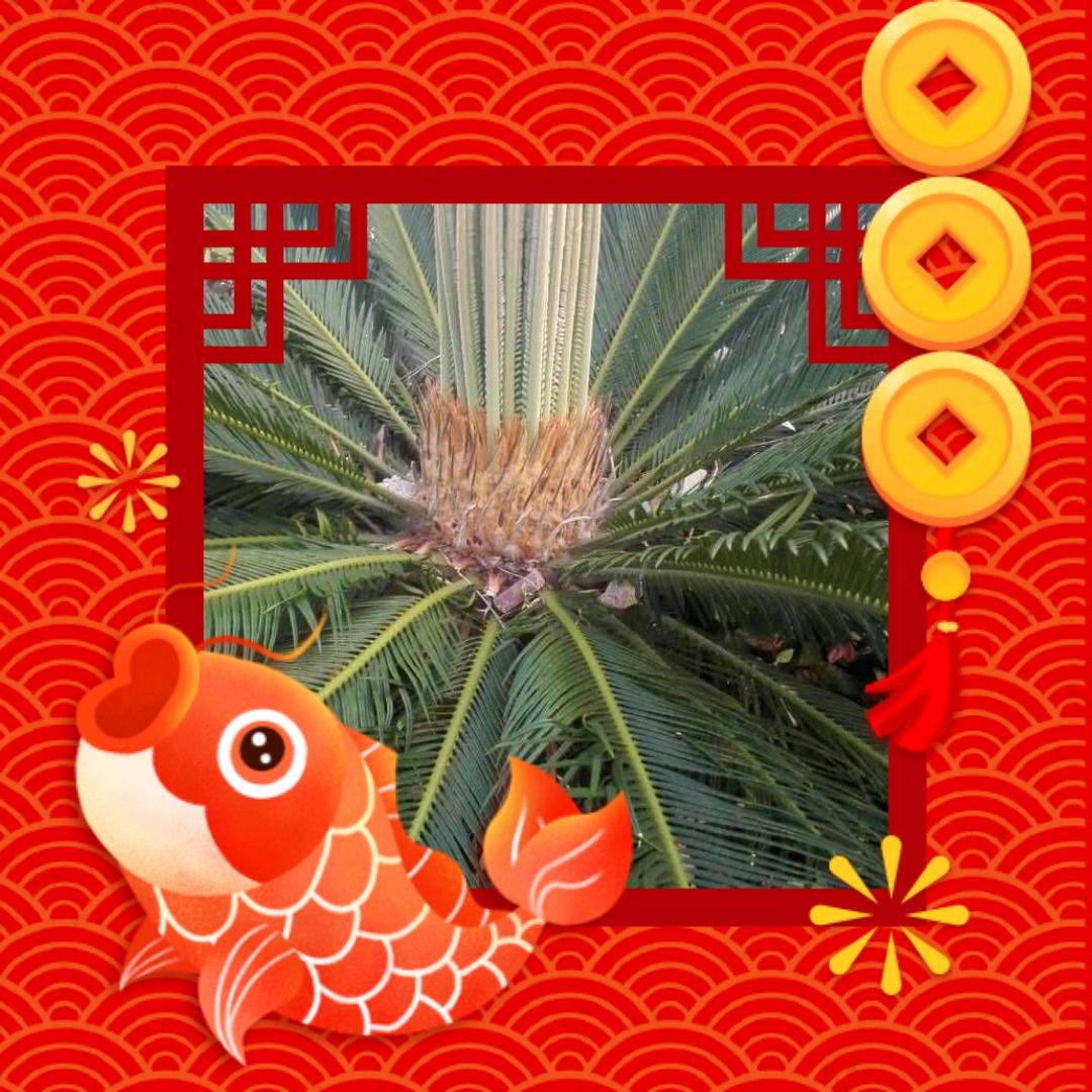 四海为家