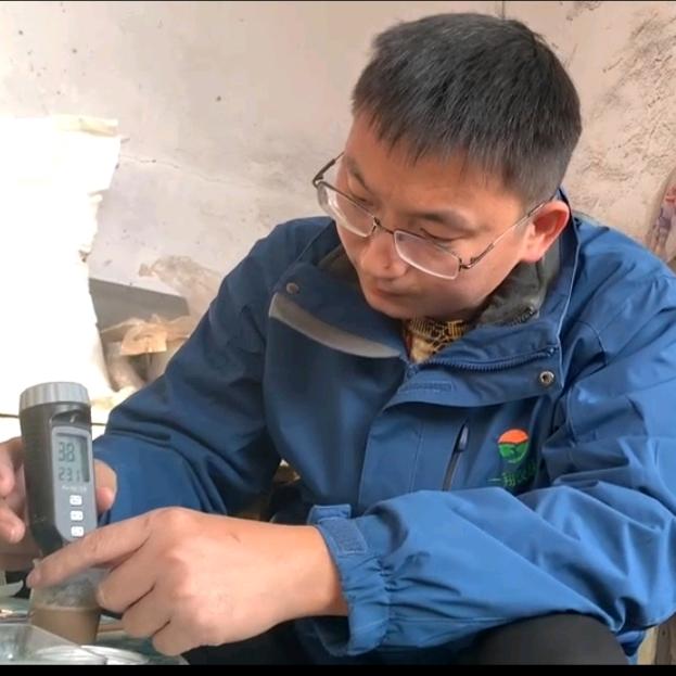 作物病害检测金刚