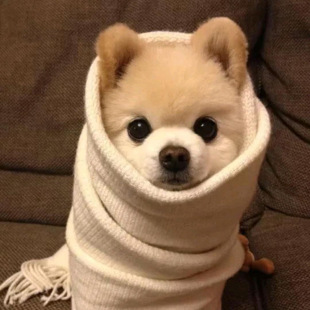 😘爱笑的眼睛😘