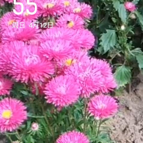 💞于生有你