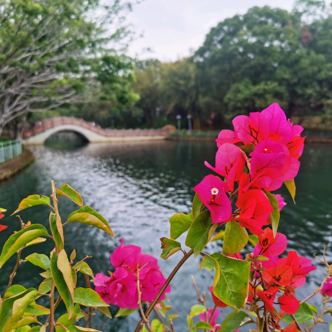 汶龙镇南芳酒坊