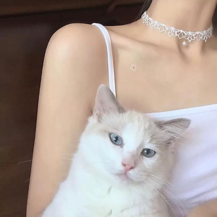 什么田