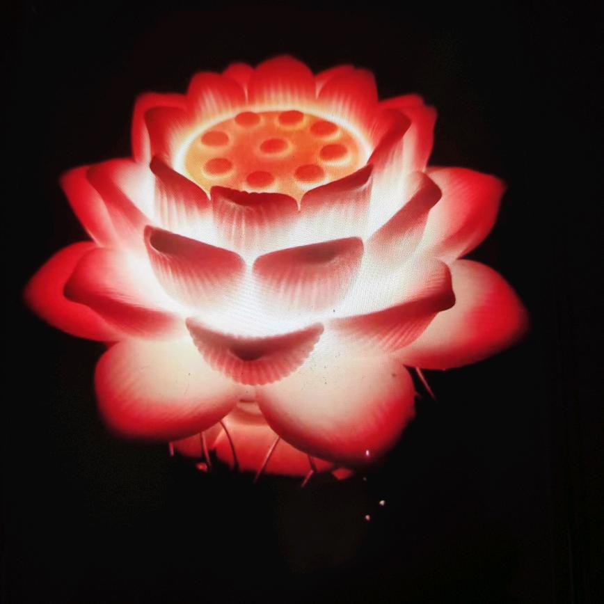 青青