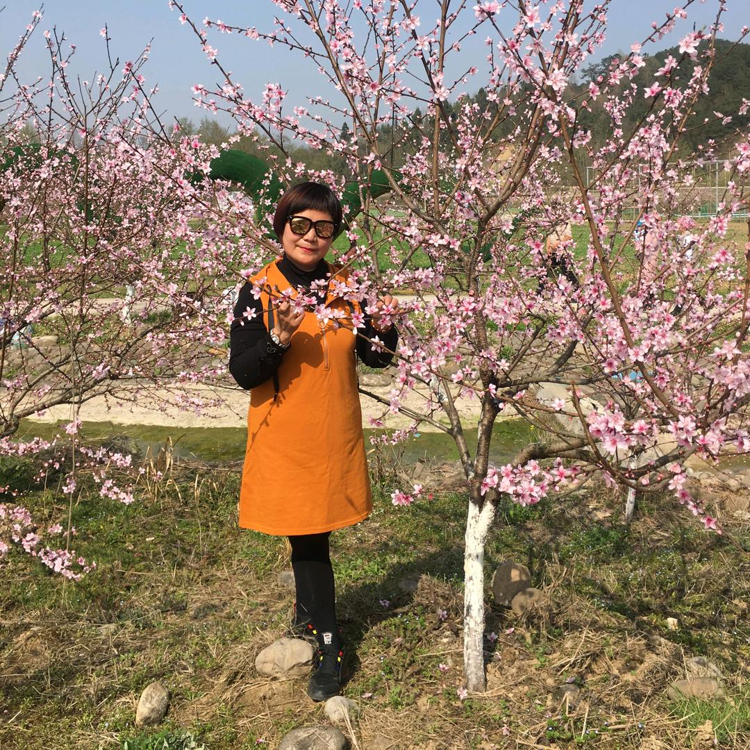 梅兰竹菊文芳斋