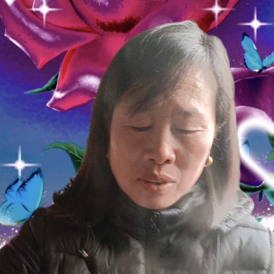 平兰影视
