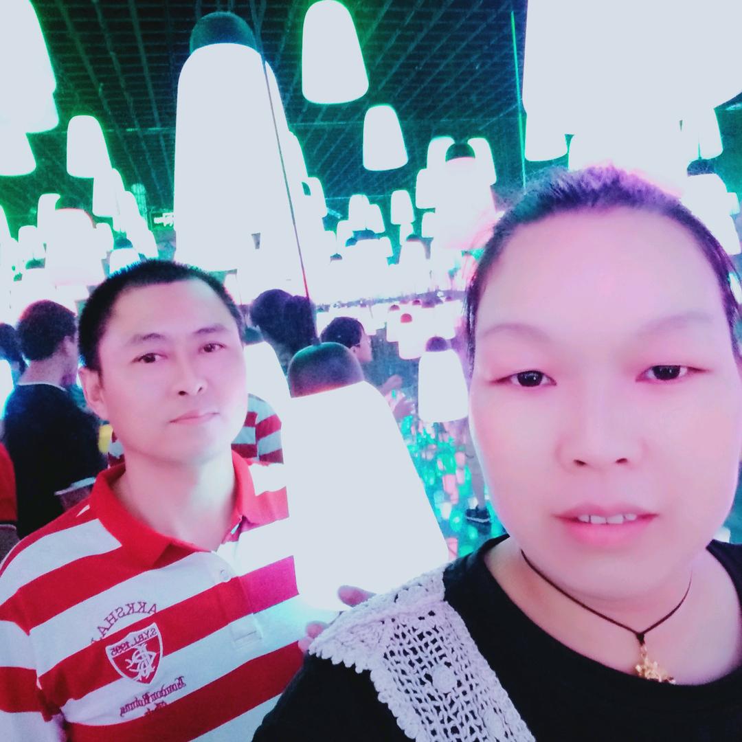 李琴