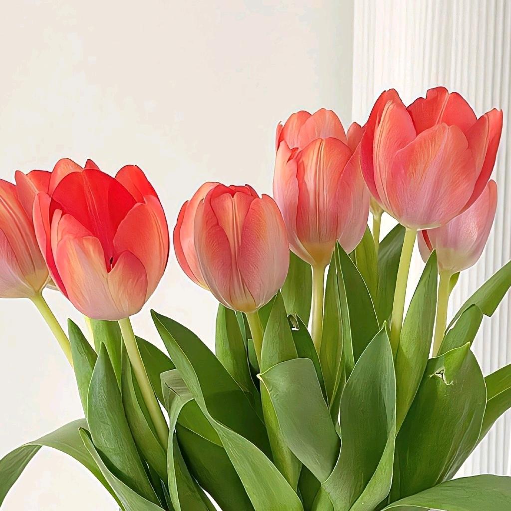 此号主人已不在世