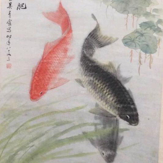 年年有余雀王奎哥