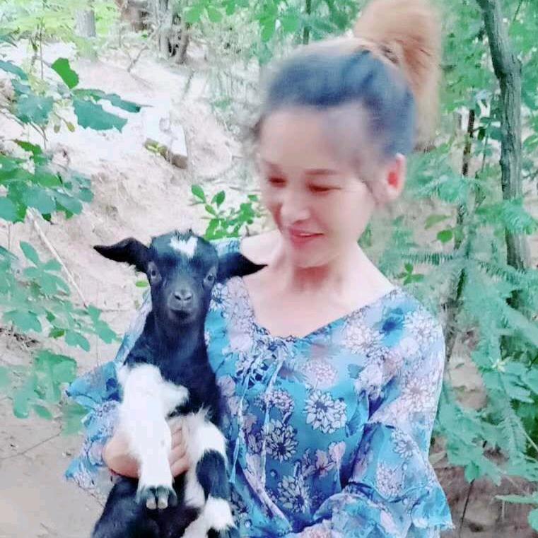 金寨王姐土特产