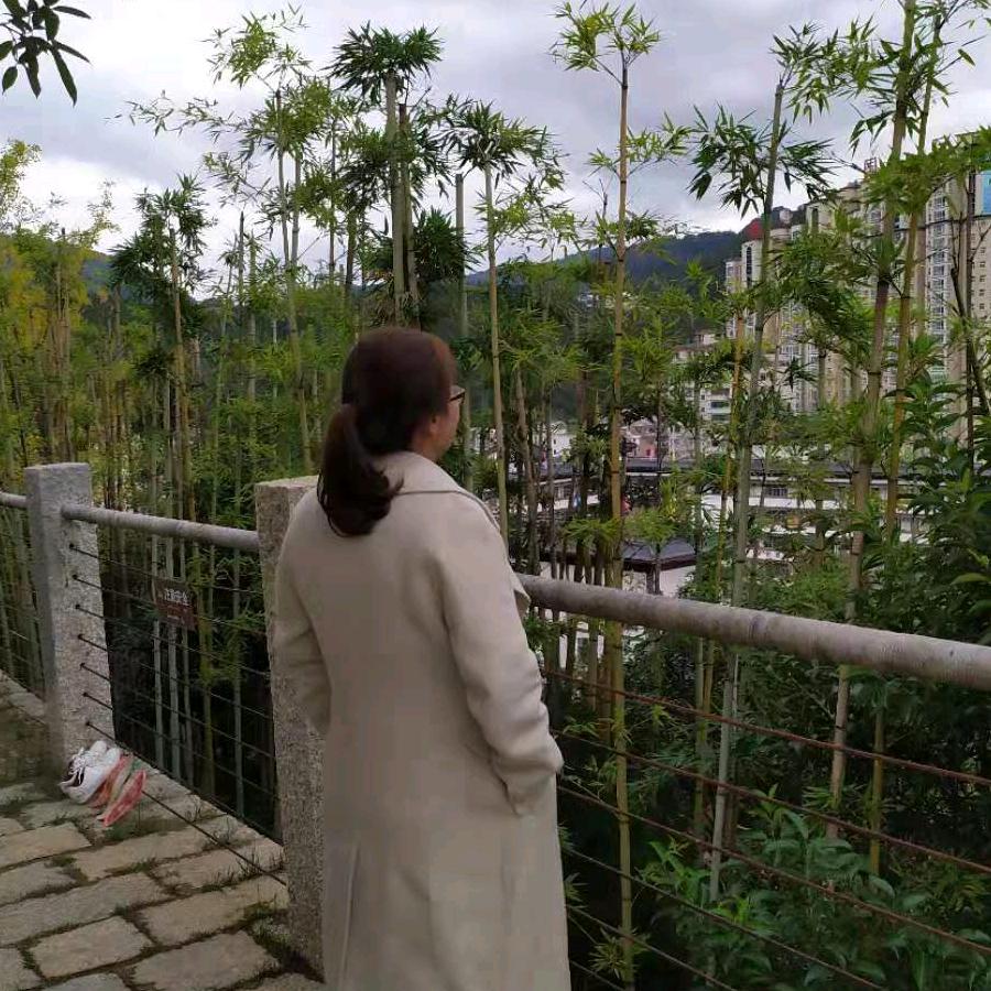 真诚花蕾