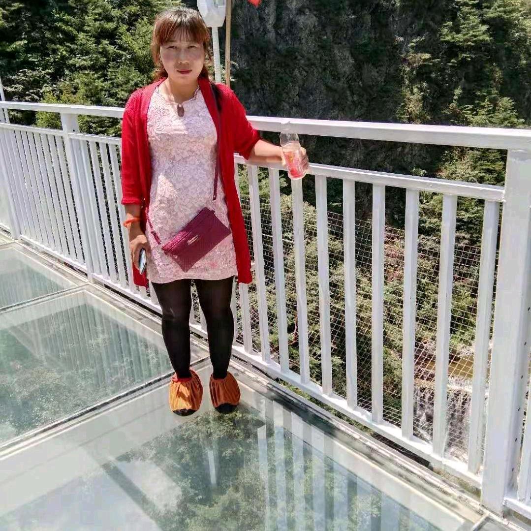 一朵玫瑰