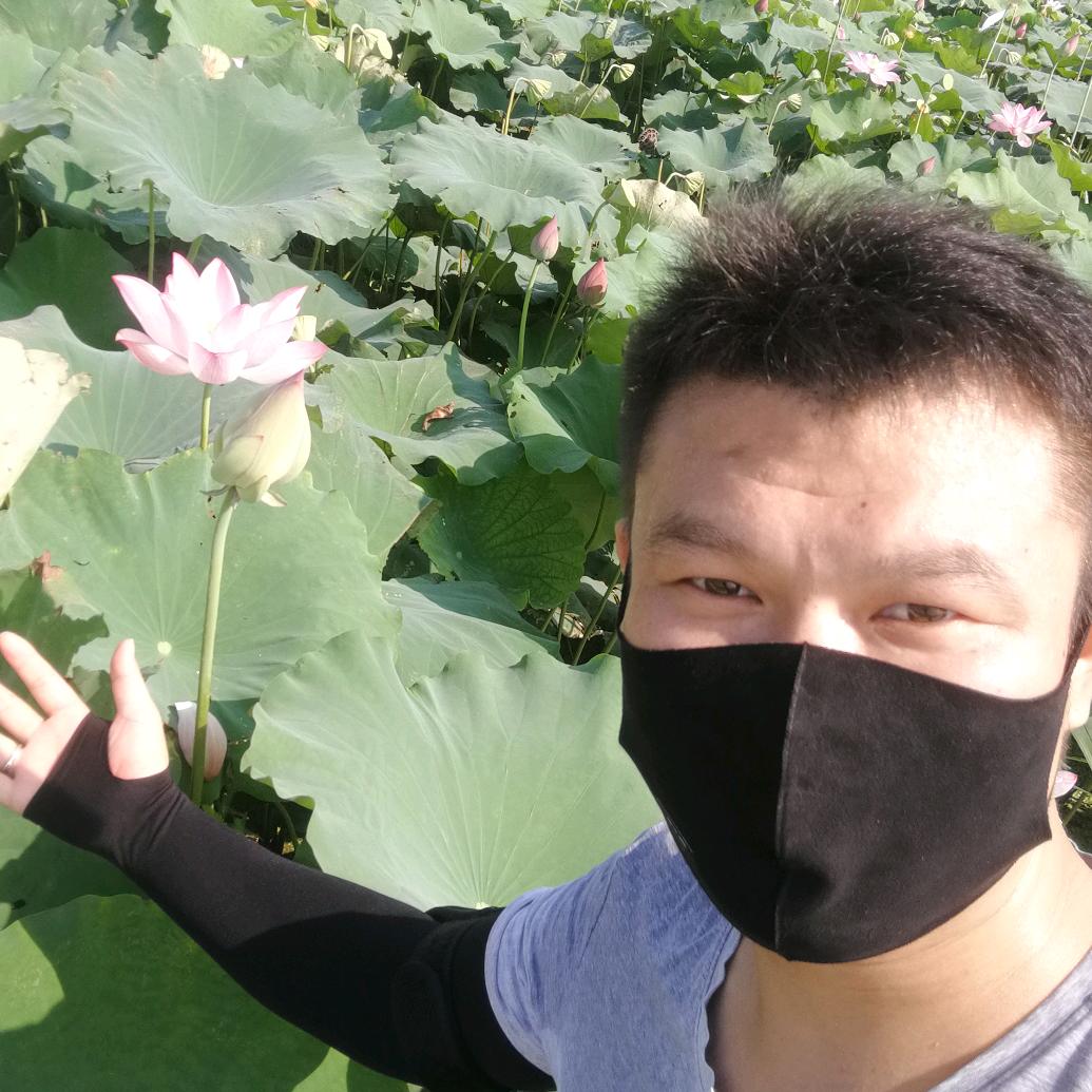 辰焓拔拔