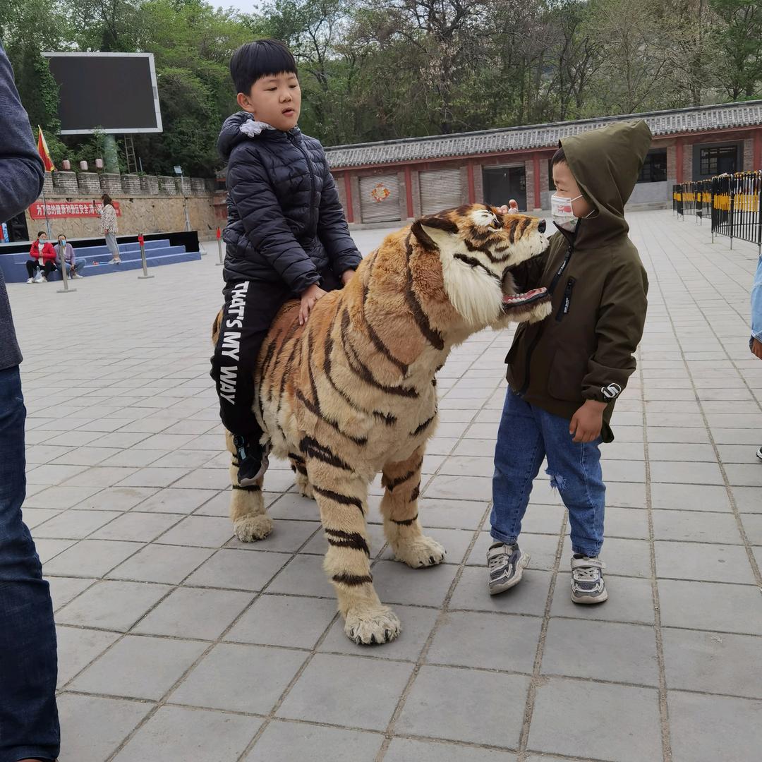 两个将的奶奶记录生活的点点滴滴（不要连赞