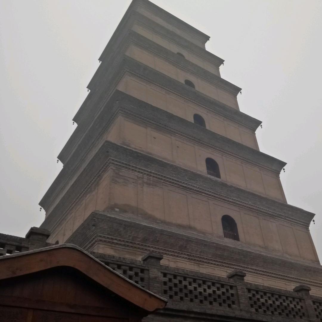 农村来的(四川、平昌)