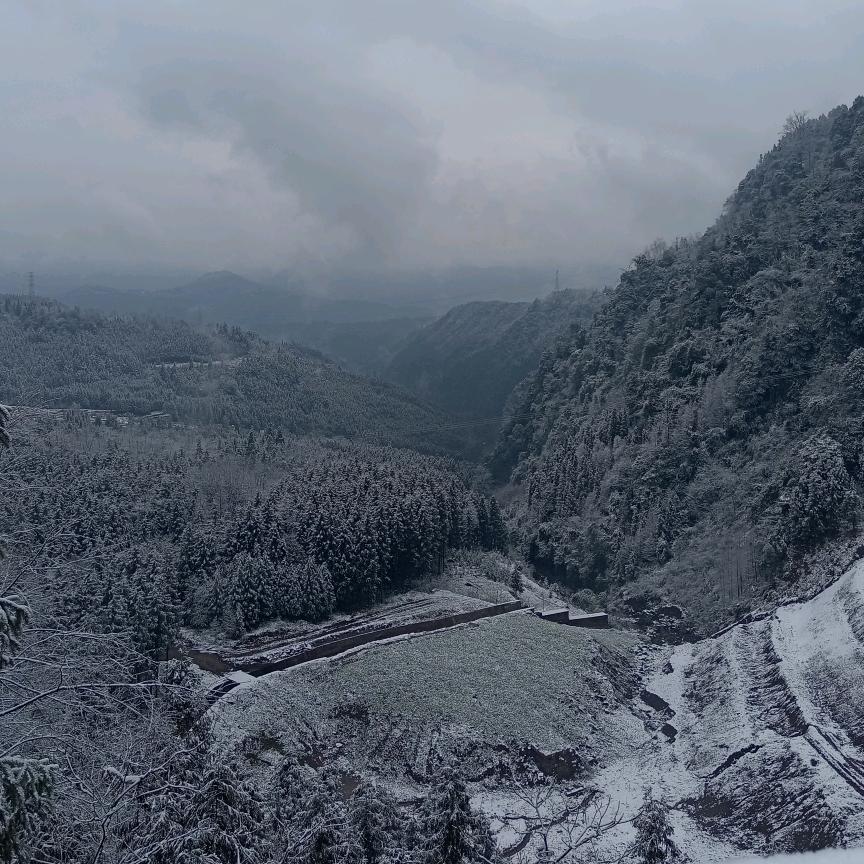 木材定制，批发