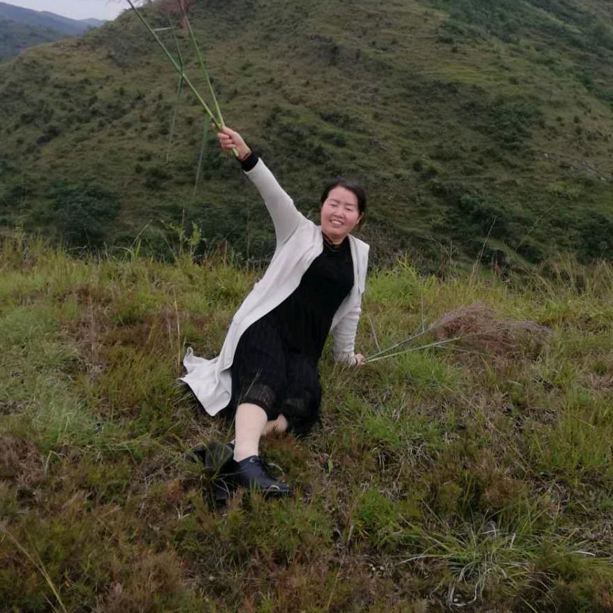 人生如梦.