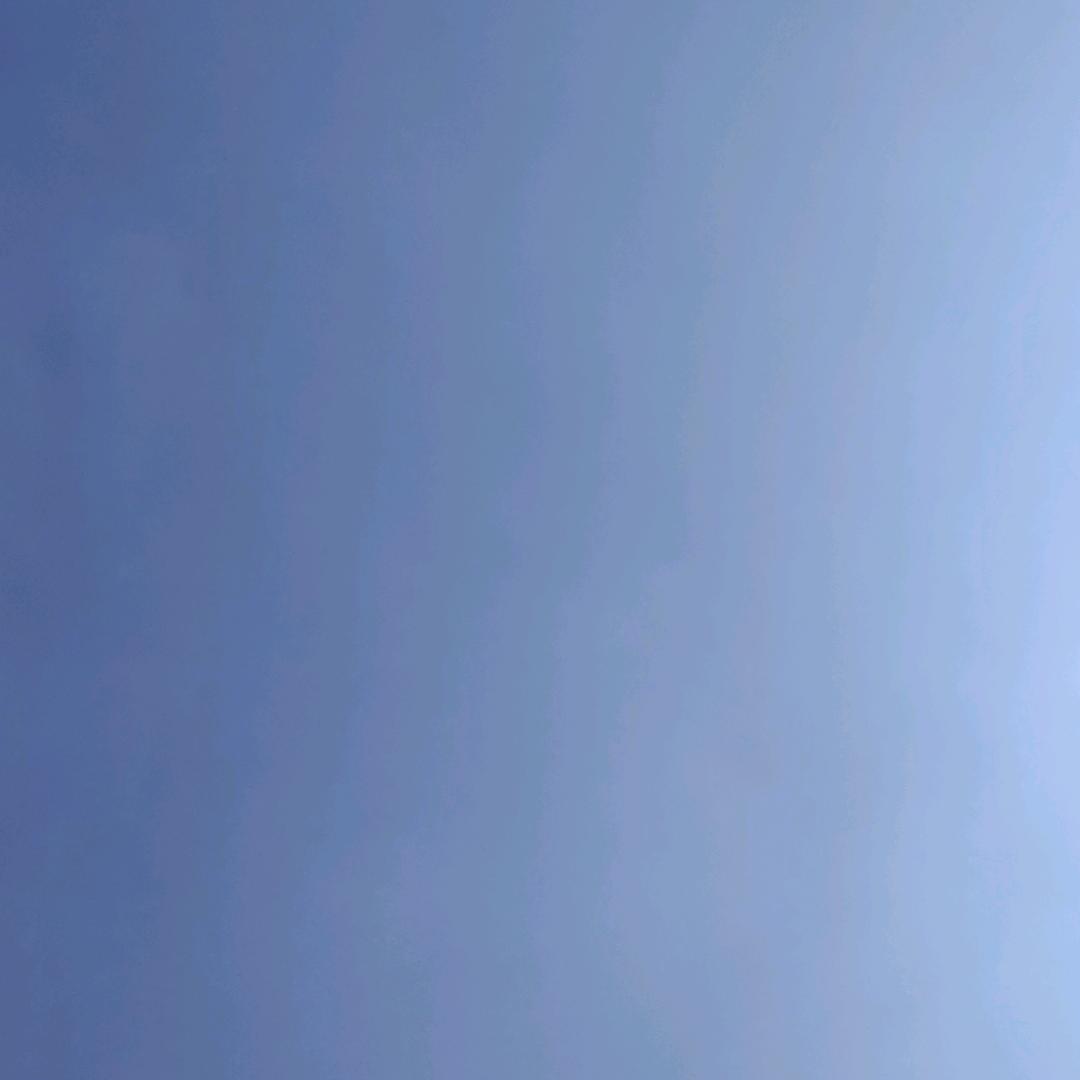 兵子