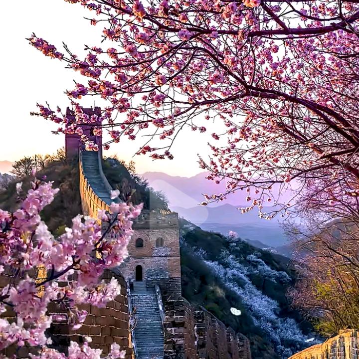 心随我愿