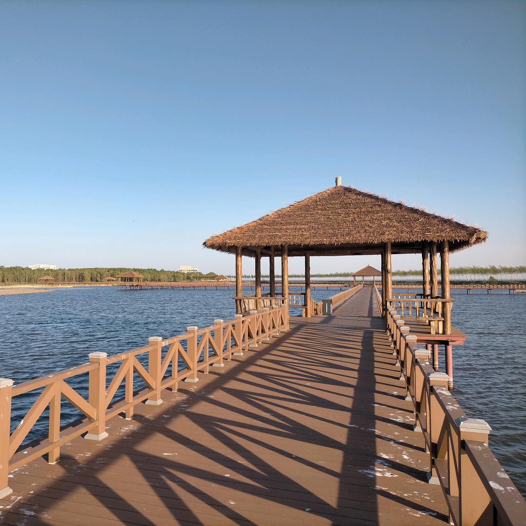 无所谓（有关必回关）