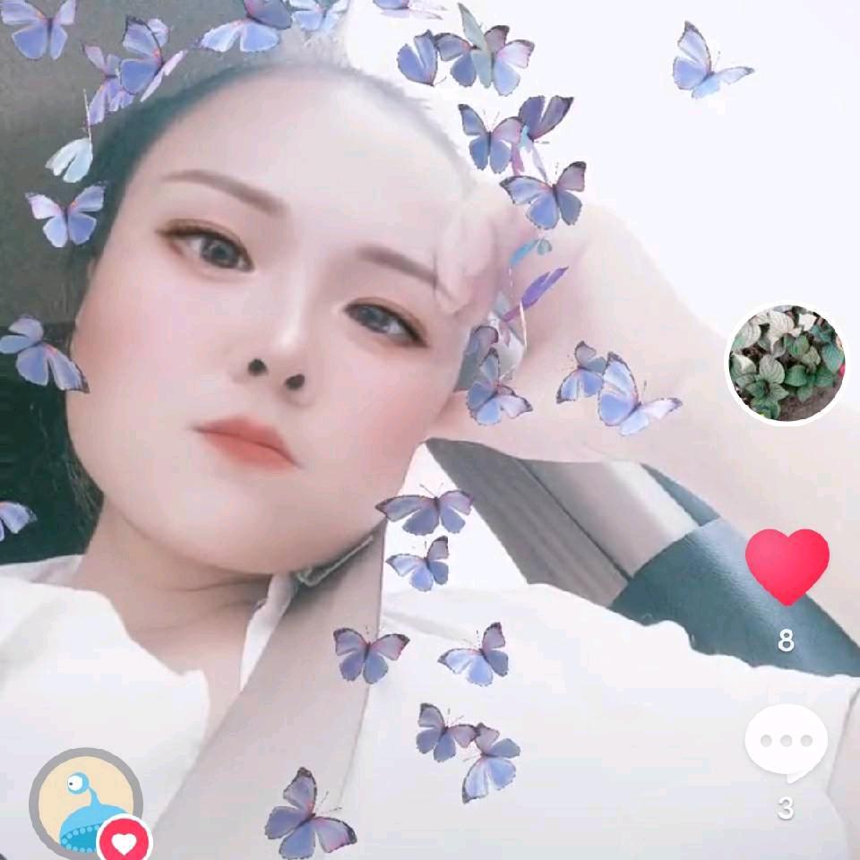 程风破浪