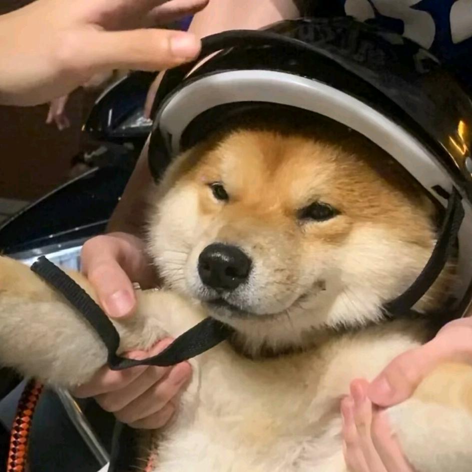 酷酷的海 (三角洲行动)