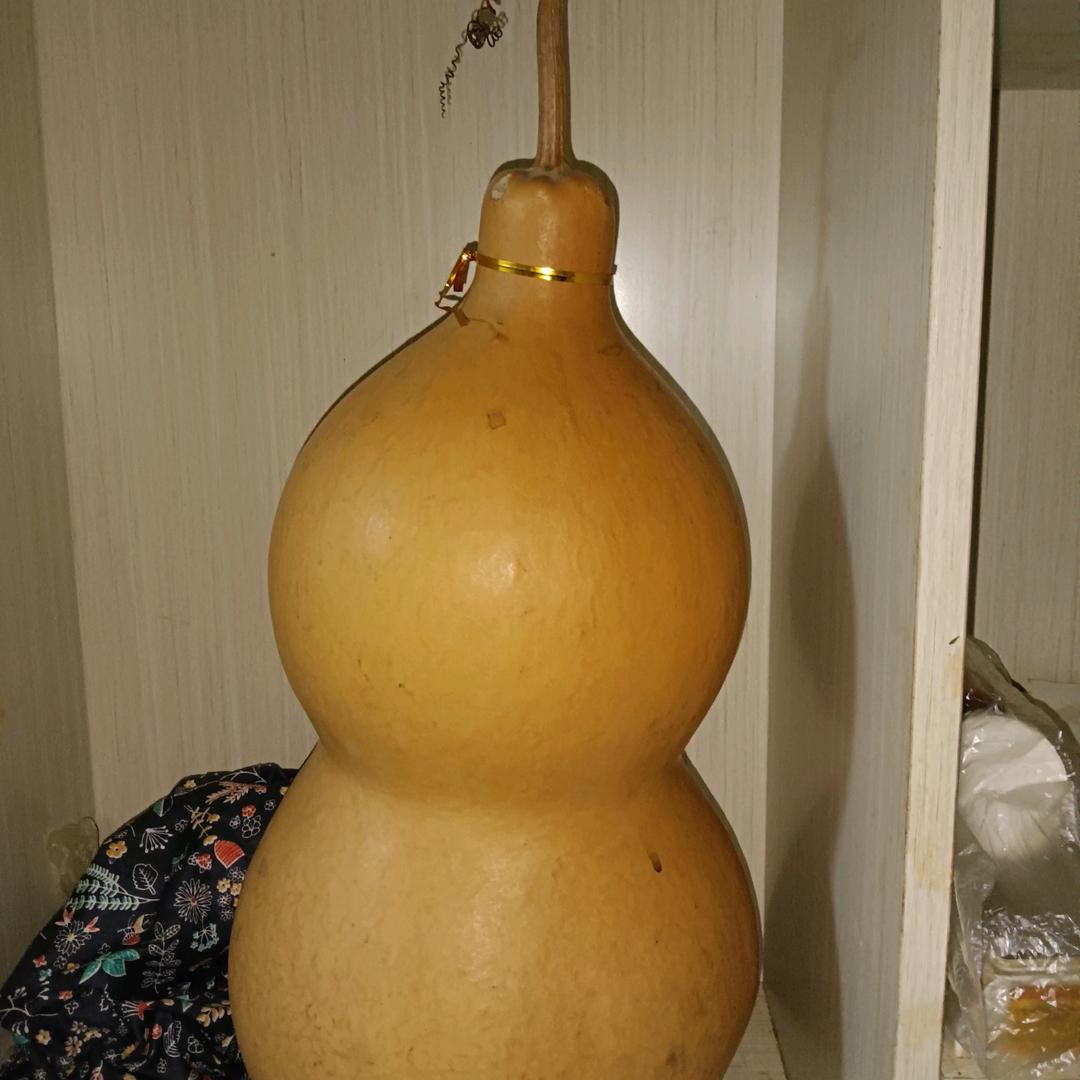 龙族一笑