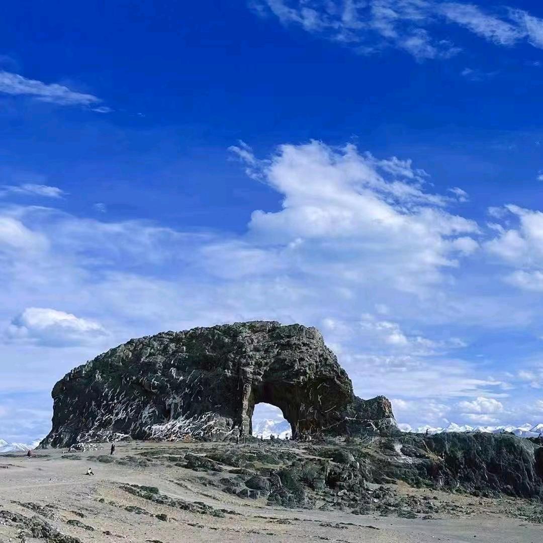 隆诚包装