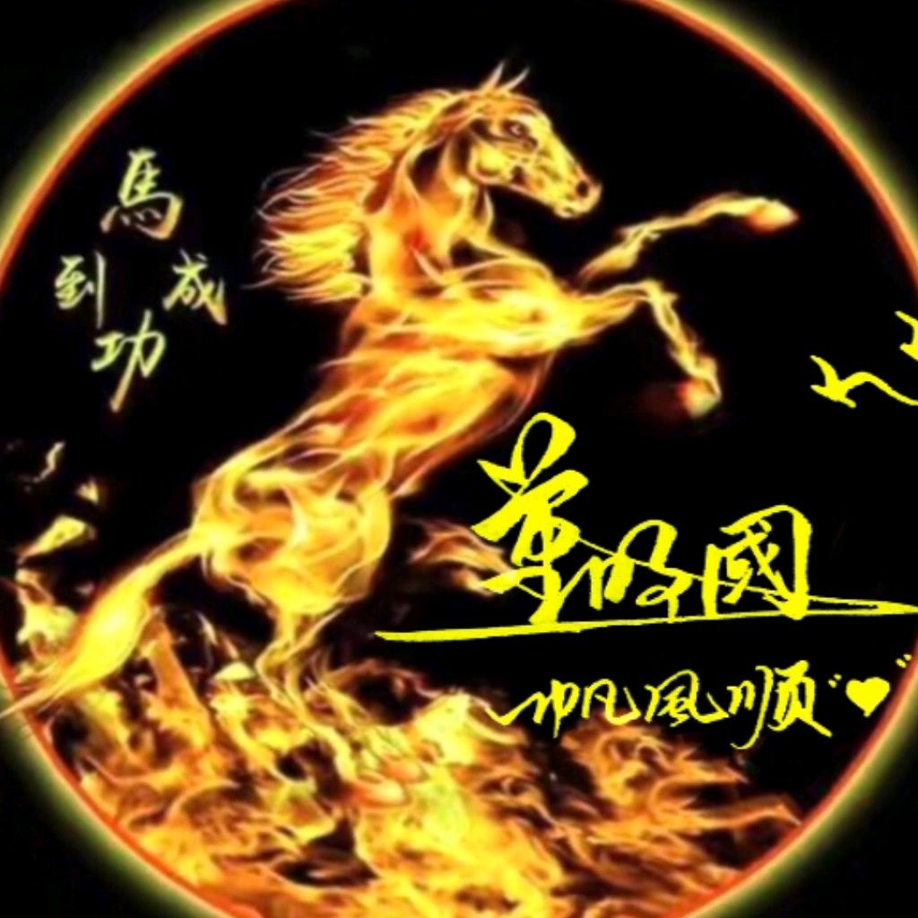 董明国