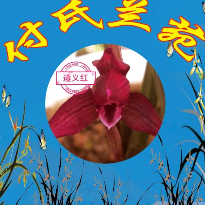 付氏兰苑（遵义市播州区）