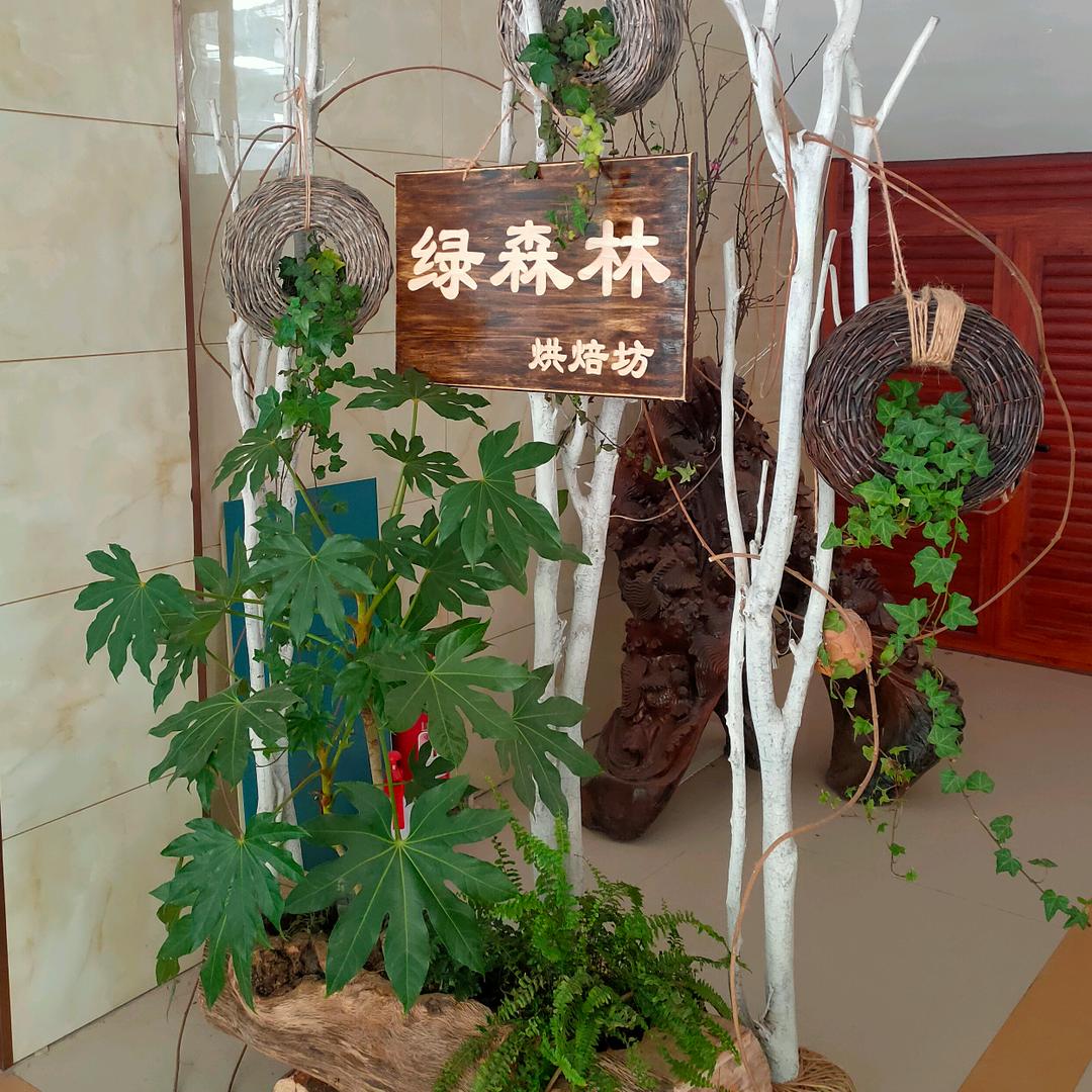 绿森林鲜花店