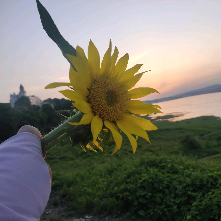 ☞♛余生好好爱自己♛☜