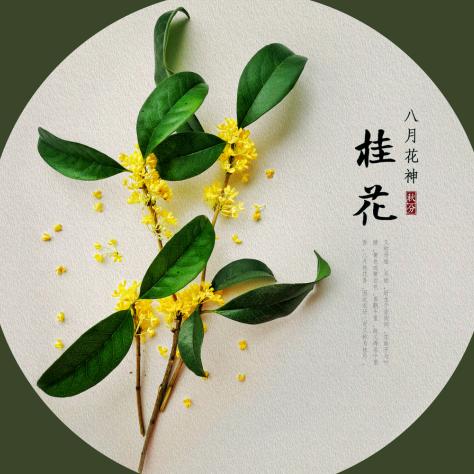 诗韵
