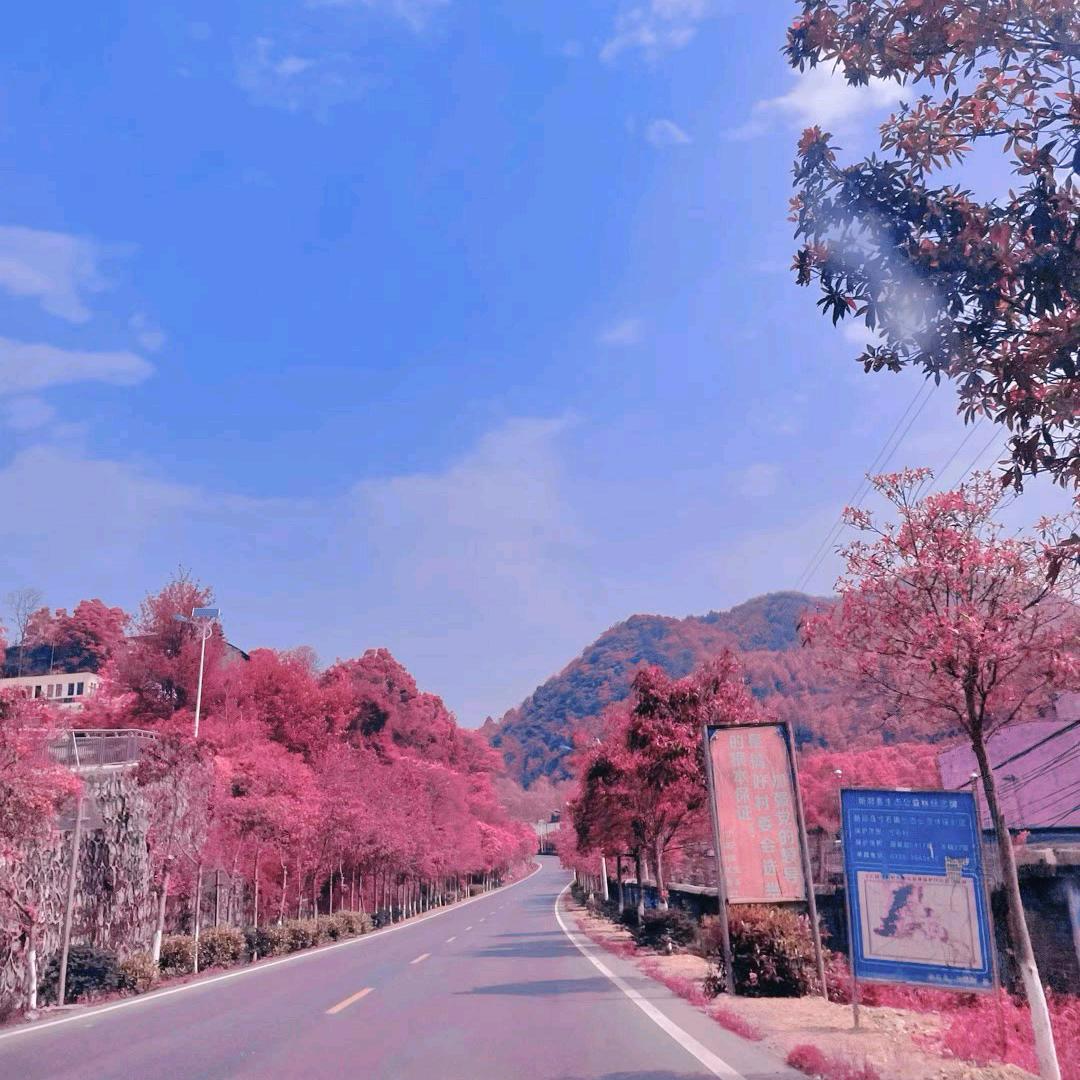 是小陈啊