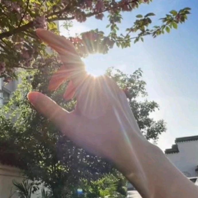 雨过天晴🌻