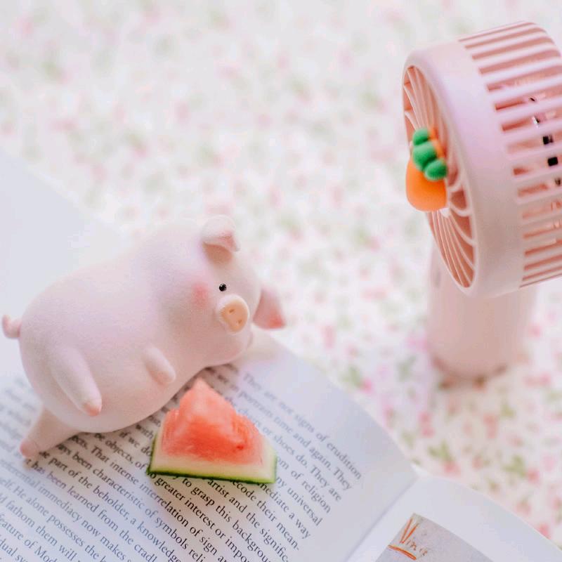 启源托辅的孟老师