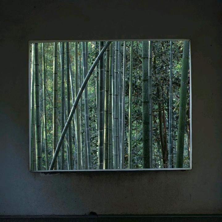 飘林