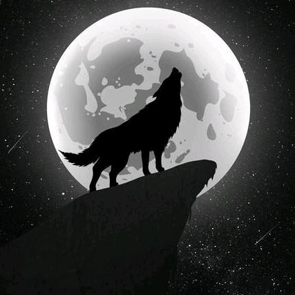 小狼崽，狠角色，雨