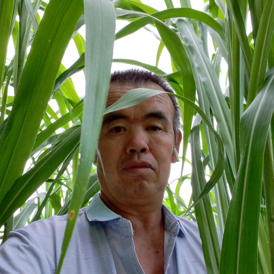 想到做不到