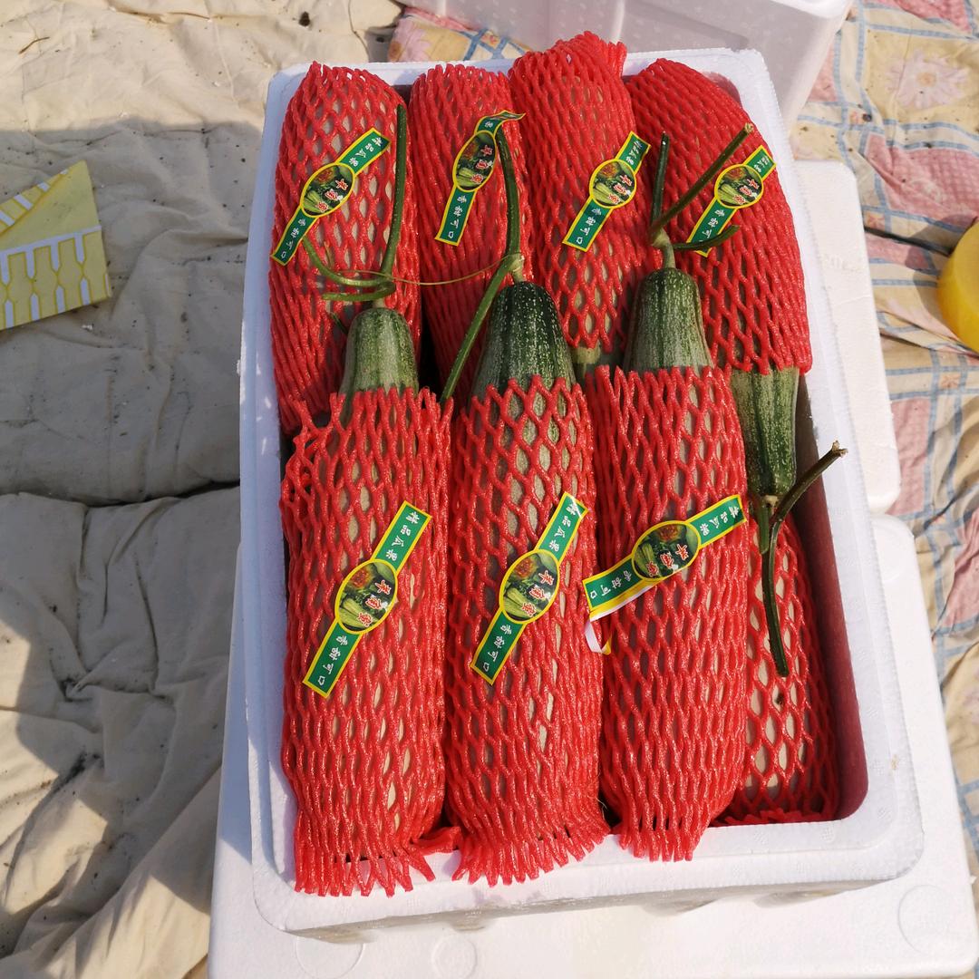 董青亮瓜果蔬菜