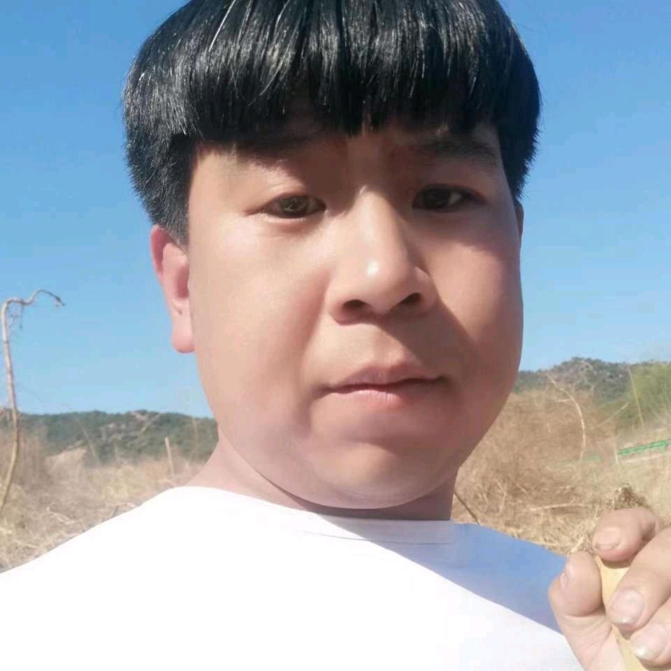 蚊叔