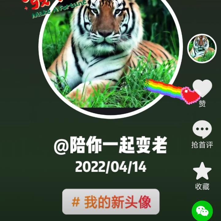陪你一起变老